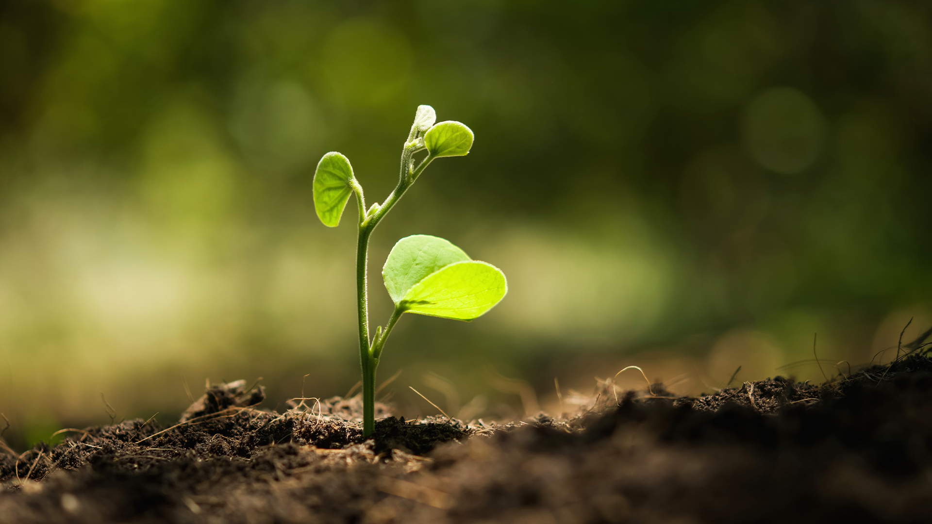 https://image-api.dailyom.com/images/INSPO_1009_1920.png